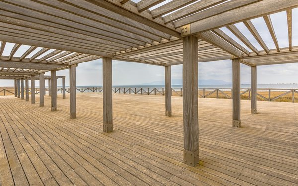 Come scegliere il giusto tipo di legno per costruire una pergola resistente agli agenti atmosferici?