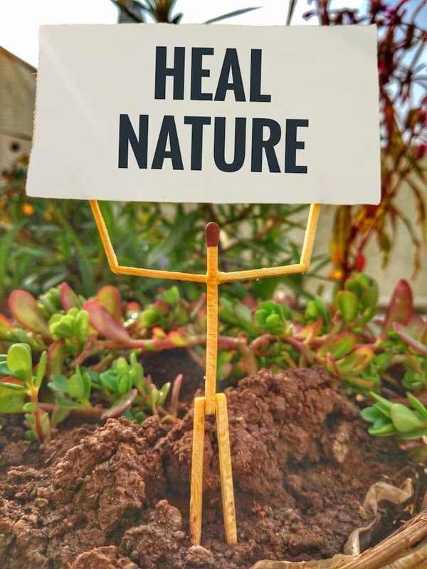 Come strutturare un corso intensivo di fotografia naturalistica per principianti?